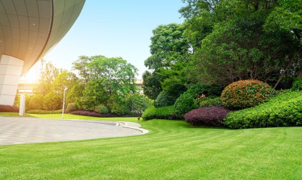 Commercial Shrub Trimming in Naples