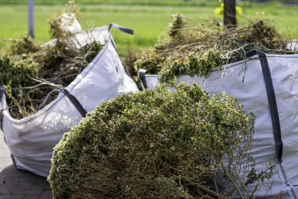 Shrubs Removal in Naples