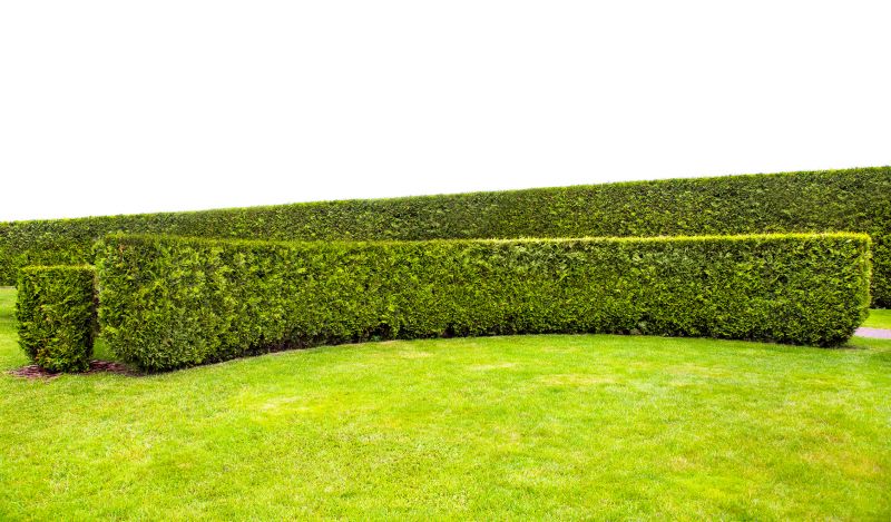 Trimmed Hedges